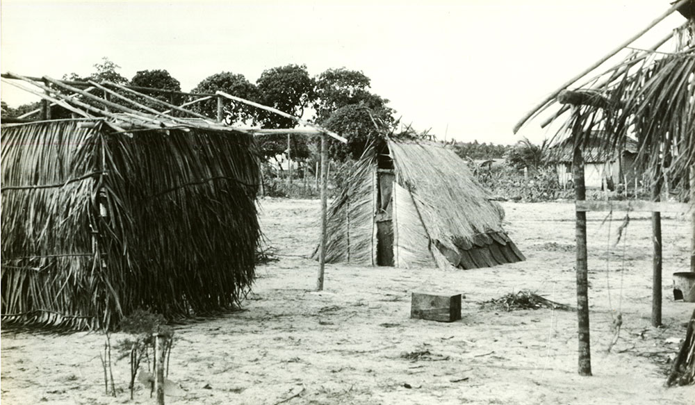 Cajueiro Sêco