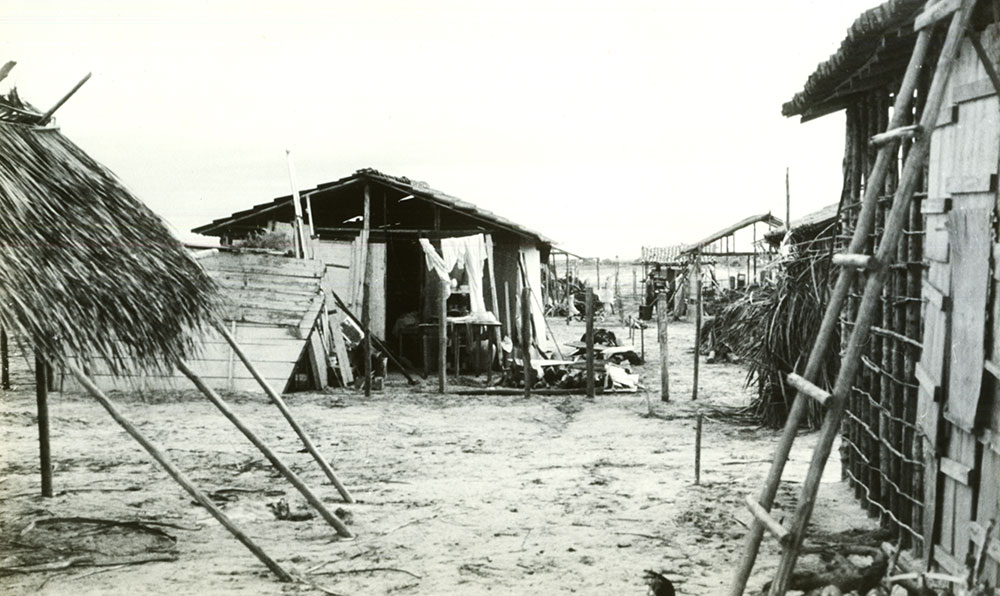 Cajueiro Sêco